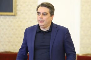 Вероятно самият Василев има вина за това, тъй като той си послужи с неистина, за да защити идеята си. Според него Черна гора използва еврото за паралелна валута, а тя е единствена вд бившата югорепублика, която не е дори член на ЕС, така че без друго паралелът е нелеп.

