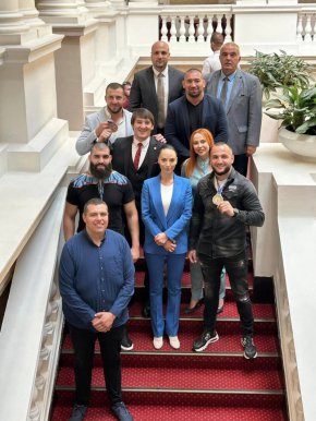   Сумистите