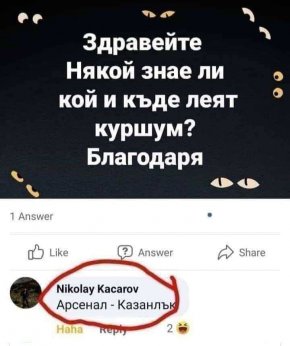 Вицове