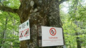Природният парк обхваща горното течение на река Рилска и цялата река Илийна - с обща площ 25 253