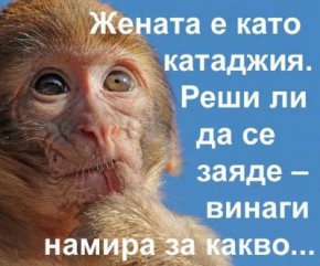 смях