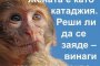 Катаджия
