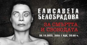 Депутатката Белобрадова, ППДБ