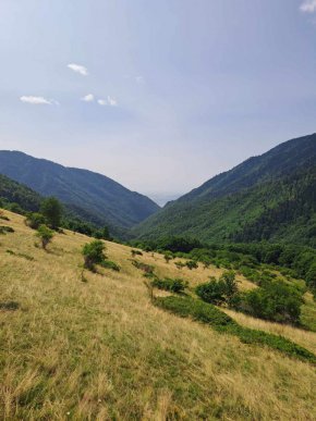 
По случая вече има образувано досъдебно производство. Ако пастирът бъде признат за виновен, го заплашват до 2 години затвор.