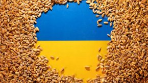 Киев ще съди Полша, Унгария и Словакия заради отказа им да премахнат забраната за украински селскостопански продукти, заяви търговският представител на Украйна Тарас Качка в екслузивно интервю за електронното издание "Политико" (Policitco).
