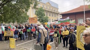 Протест