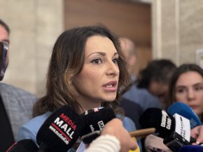 
 Защо толкова от ПП се стремят да затворят централите – "заради проекта bLion, който е за близо 30 млрд лв., а реализацията му зависи от земята на мини "Марица-Изток“, която е 250 кв.км. Затова ПП правят абсолютно всичко възможно да унищожат дружеството колкото се може по-бързо.