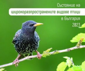 Птиците в земеделските земи