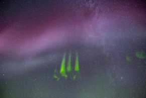Горе е изображението на Стив, заснето от канадската фотографка Дона Лах през 2022 г.
