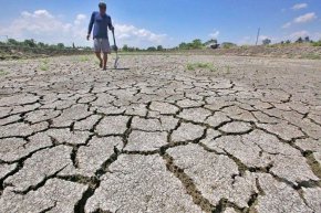 Настоящата година ще бъде най-топлата в световен мащаб