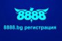 8888