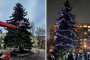 Жителите на кв. Мусагеница си украсиха 17-метрова жива коледна елха 