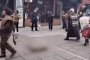препарирана лисица на площада в Разлог