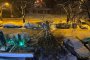 Паднало дърво препречи възловата софийска ул. Нишава, 0 реакция от кмета или чистачите на града