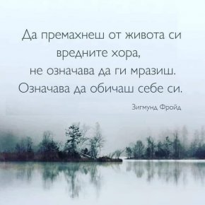Да премахнеш от живота си вредните хора, не означава да ги мразиш, означава да обичаш себе си.
