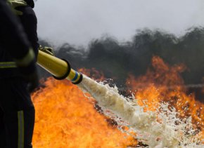  В гасенето ще се включи и булдозер на дърводобивна фирма от Копривщица. Директорът на Югозападното държавно предприятие разпореди да бъде изпратено подкрепление от хора и техника от съседните горски и ловни стопанства.