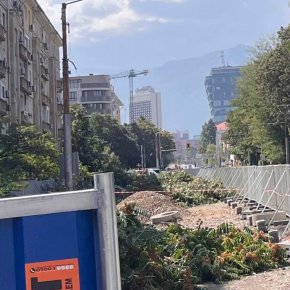 Опълченци бяха тези дървета, които ни спасяваха от лошия въздух, от яркото слънце и нечовешкия шум.
