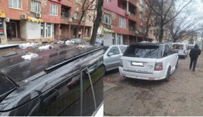  Бунт с кучешко ако на бул. Александър Стамболийски: Фото на деня