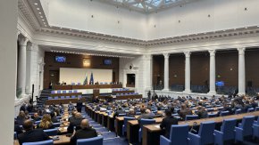 Депутат иска да кърми бебето си в пленарната зала