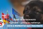  Европейският парламент решава бъдещето на кучетата и котките в ЕС 
