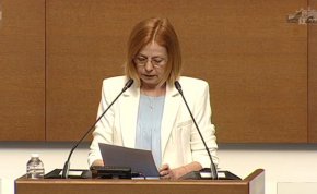 Присъдата на Люпчо Георгиевски в Скопие е акт на репресия срещу българите: ГЕРБ-СДС