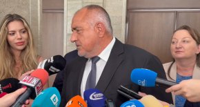 Партия Величие за това беше вкарана в парламента, за да се събират подписи за вотове: Борисов