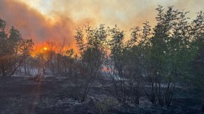 Пламъците в Сакар вече обхванаха 8 хиляди декара