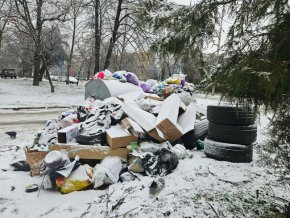   Райкметовете не сме виновни за боклука, Терзиев е: Д.Георгиев