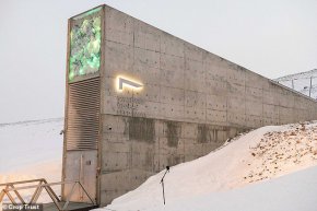 Вътре в мистериозния трезор, създаден да спаси живота след планетарно изчезване