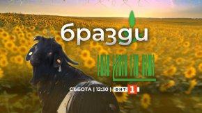   Бразди по БНТ 1 на първо място в съботния следобед