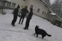 Погребаха Ивай от Петрохан, освободиха телата и на другите