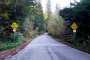 Разкриха суперсекретна милионерска секта: Водещият на Оскарите, Ийстууд, Блумбърг, босът на Гугъл в клуба    