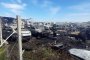 Над 100 автомобила изгоряха в пожар край Пловдив