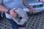 Паве проби автомобил на общински паркинг в София