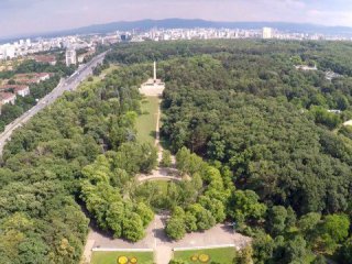  Над 300 дървета ще секат в Борисовата по незаконния План на Терзиев: Топекололеког