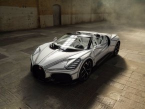 Bugatti с порцеланово покритие: Хитът на годината (ФОТОГАЛЕРИЯ)