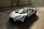 Bugatti с порцеланово покритие: Хитът на годината (ФОТОГАЛЕРИЯ)