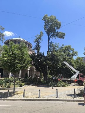   Трайков пак сече в сърцето на София  