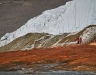Зловещият Кървав водопад в Антарктика се оказа дом на древен живот