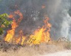 Дете запалило сухи треви „да види какво ще стане“, силният вятър разраснал пожара в Хасковско
