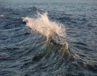   61-годишен украински турист се удави в морето в Поморие
