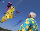В Шабла започва 15-ото издание на Фестивала на хвърчилата