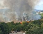 Пожар в близост до летището стресна столичани