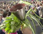 Първият училищен звънец бие за над 55 000 първокласници