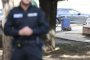 Съмнителен багаж около фонтана пред президентството вдигна службите на крак