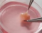 Учени подмладиха кожа с 45 години с помощта на изкуствен интелект