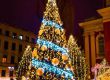   София грее (Галерия)
