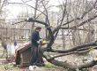Депутат окастри дървета пред старчески дом