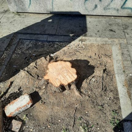Трайков и Терзиев с още сеч в сърцето на София