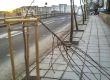 Вандали унищожиха новите дръвчета на бул. Гешов